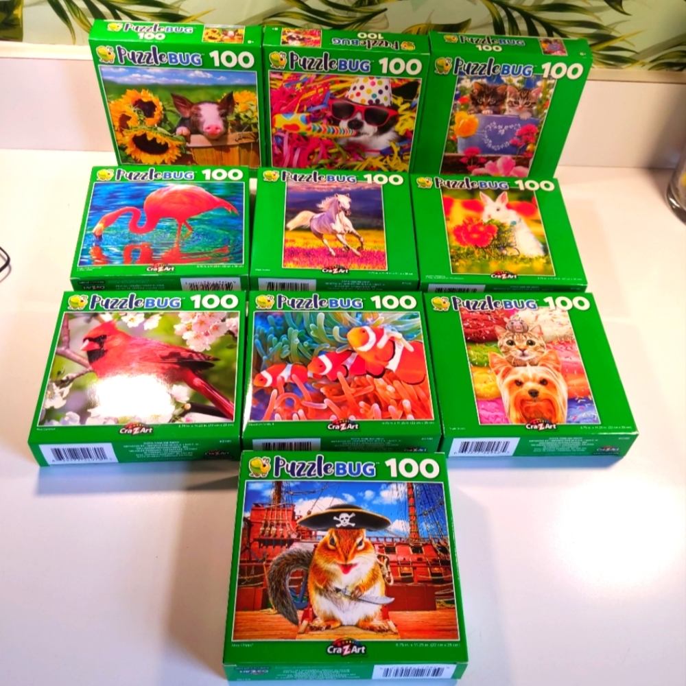 10 PKG KIDS PUZZLE BUNDLE